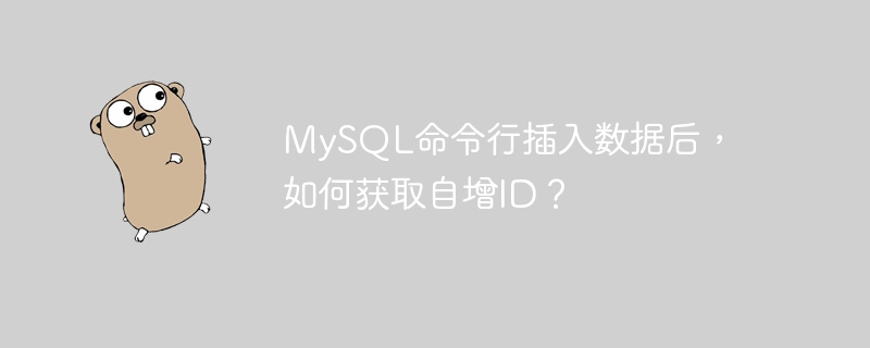 mysql命令行插入数据后,如何获取自增id?