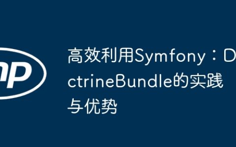 高效利用Symfony：DoctrineBundle的实践与优势