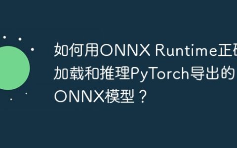 如何用ONNX Runtime正确加载和推理PyTorch导出的ONNX模型？