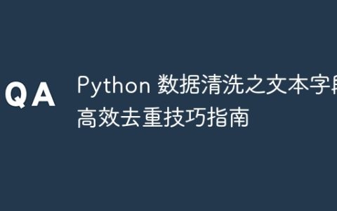 Python 数据清洗之文本字段高效去重技巧指南