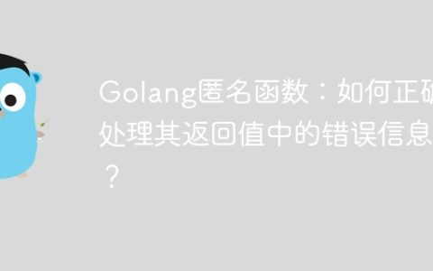 Golang匿名函数：如何正确处理其返回值中的错误信息？