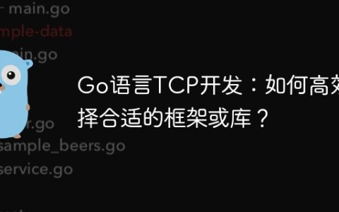 Go语言TCP开发：如何高效选择合适的框架或库？