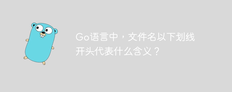 Go语言中,文件名以下划线开头代表什么含义?