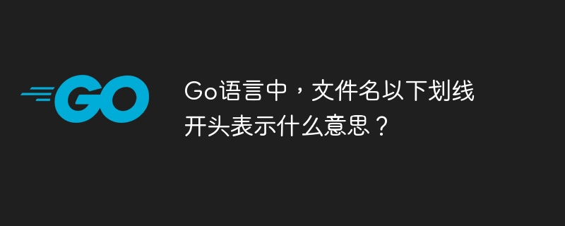 go语言中,文件名以下划线开头表示什么意思?