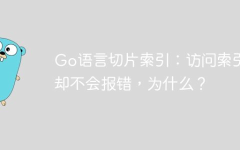Go语言切片索引：访问索引1却不会报错，为什么？