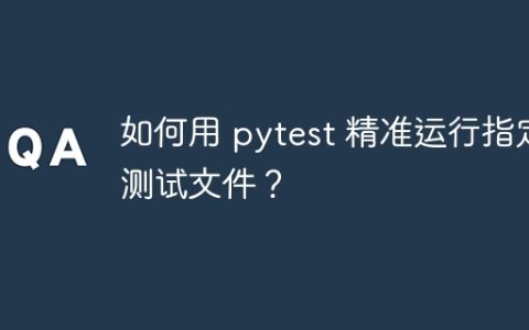 如何用 pytest 精准运行指定测试文件？