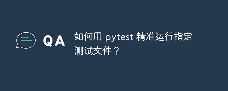 如何用 pytest 精准运行指定测试文件?