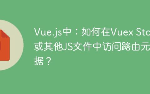Vue.js中：如何在Vuex Store或其他JS文件中访问路由元数据？