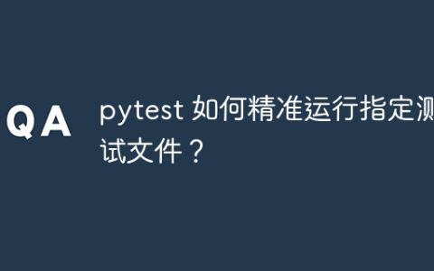 pytest 如何精准运行指定测试文件？