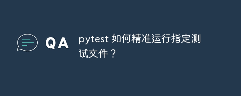 pytest 如何精准运行指定测试文件?
