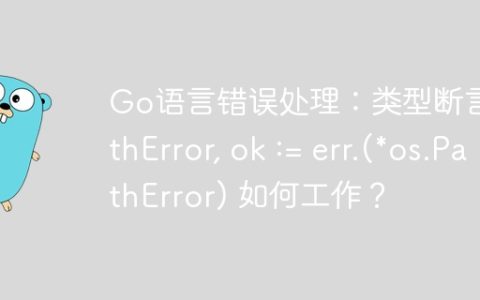 Go语言错误处理：类型断言pathError, ok := err.(*os.PathError) 如何工作？