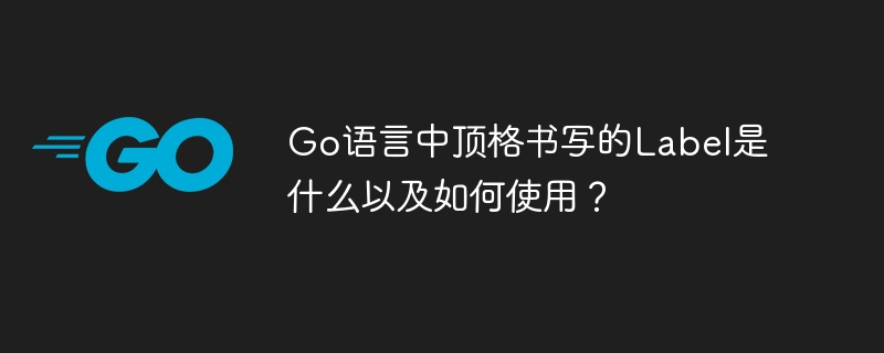 go语言中顶格书写的label是什么以及如何使用?