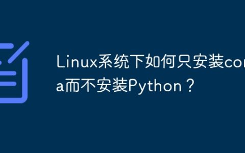 Linux系统下如何只安装conda而不安装Python？