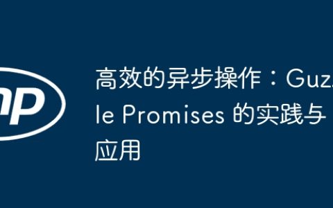 高效的异步操作：Guzzle Promises 的实践与应用