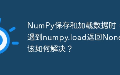 NumPy保存和加载数据时，遇到numpy.load返回None值该如何解决？