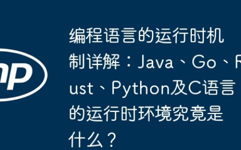 编程语言的运行时机制详解：Java、Go、Rust、Python及C语言的运行时环境究竟是什么？