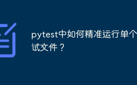 pytest中如何精准运行单个测试文件？