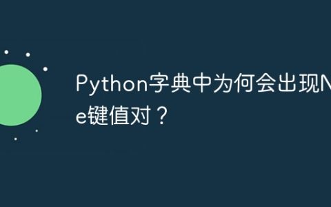 Python字典中为何会出现None键值对？