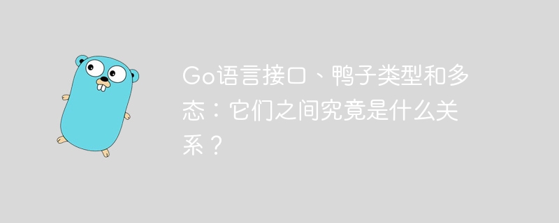 go语言接口、鸭子类型和多态:它们之间究竟是什么关系?