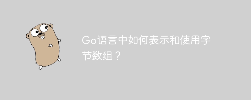 Go语言中如何表示和使用字节数组?