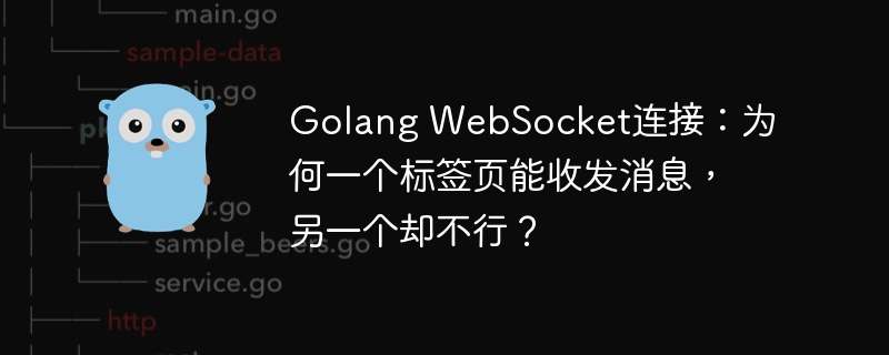 golang websocket连接:为何一个标签页能收发消息,另一个却不行?