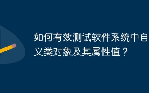 如何有效测试软件系统中自定义类对象及其属性值？