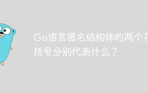 Go语言匿名结构体的两个花括号分别代表什么？