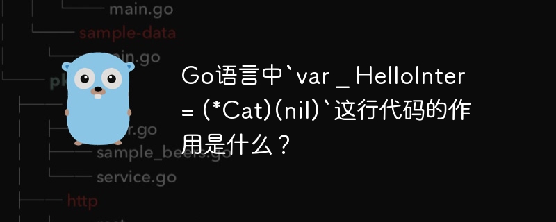 go语言中`var _ hellointer = (*cat)(nil)`这行代码的作用是什么?