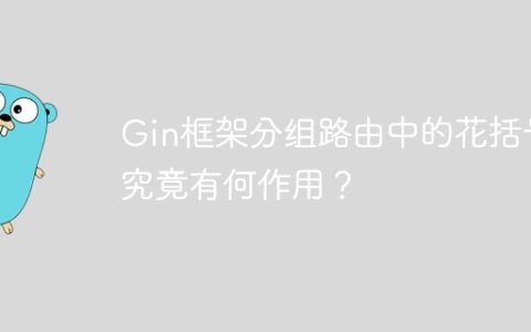 Gin框架分组路由中的花括号究竟有何作用？