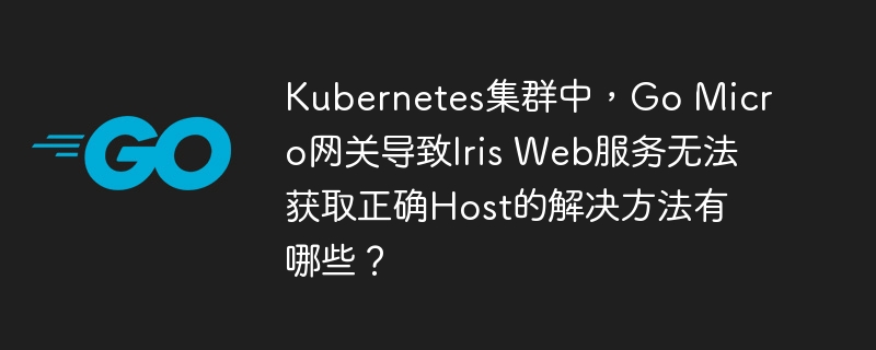 kubernetes集群中,go micro网关导致iris web服务无法获取正确host的解决方法有哪些?
