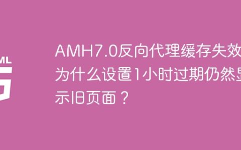 AMH7.0反向代理缓存失效：为什么设置1小时过期仍然显示旧页面？