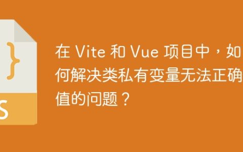在 Vite 和 Vue 项目中，如何解决类私有变量无法正确赋值的问题？