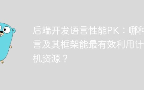 后端开发语言性能PK：哪种语言及其框架能最有效利用计算机资源？
