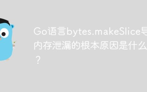 Go语言bytes.makeSlice导致内存泄漏的根本原因是什么？
