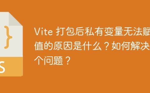 Vite 打包后私有变量无法赋值的原因是什么？如何解决这个问题？