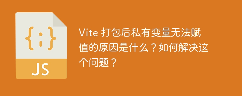 vite 打包后私有变量无法赋值的原因是什么?如何解决这个问题?