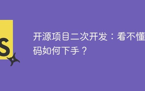开源项目二次开发：看不懂代码如何下手？