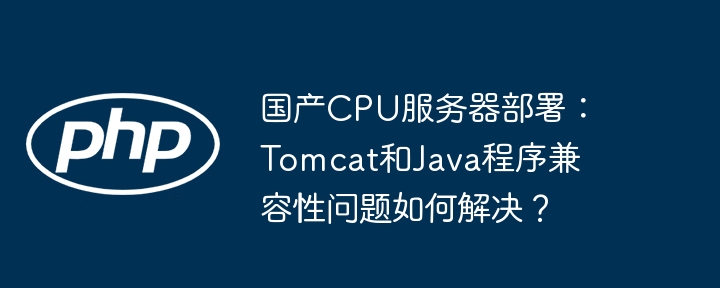 国产cpu服务器部署:tomcat和java程序兼容性问题如何解决?