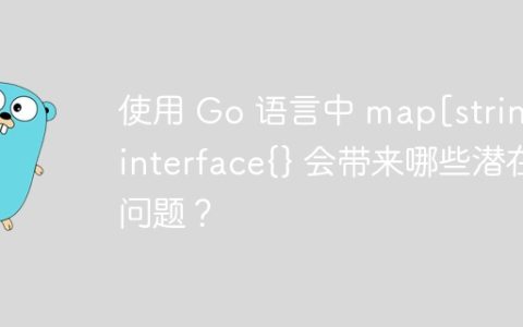 使用 Go 语言中 map[string]interface{} 会带来哪些潜在问题？