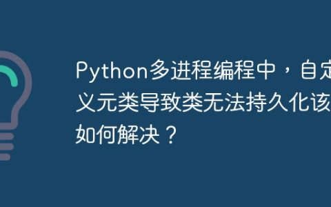 Python多进程编程中，自定义元类导致类无法持久化该如何解决？
