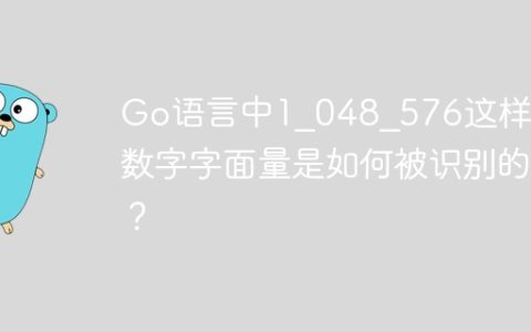 Go语言中1_048_576这样的数字字面量是如何被识别的？