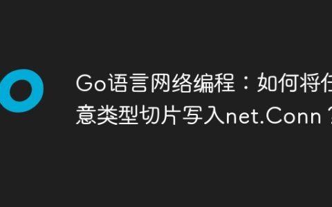 Go语言网络编程：如何将任意类型切片写入net.Conn？