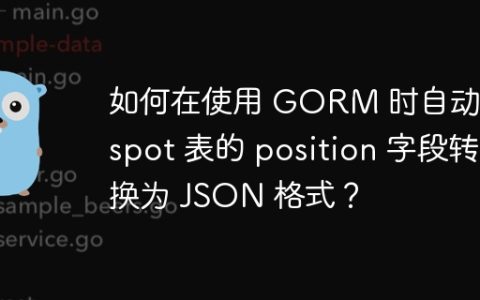 如何在使用 GORM 时自动将 spot 表的 position 字段转换为 JSON 格式？