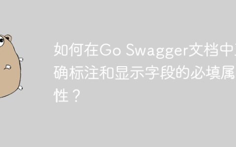 如何在Go Swagger文档中正确标注和显示字段的必填属性？