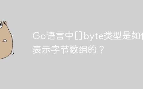 Go语言中[]byte类型是如何表示字节数组的？
