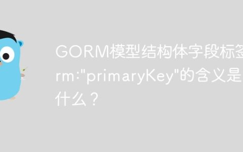 GORM模型结构体字段标签gorm:"primaryKey"的含义是什么？