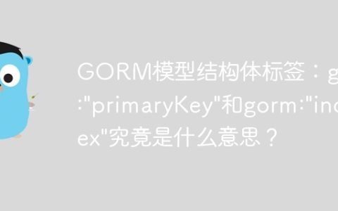 GORM模型结构体标签：gorm:"primaryKey"和gorm:"index"究竟是什么意思？