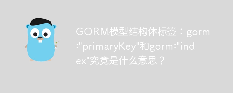 gorm模型结构体标签:gorm: