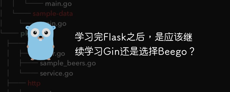 学习完flask之后,是应该继续学习gin还是选择beego?