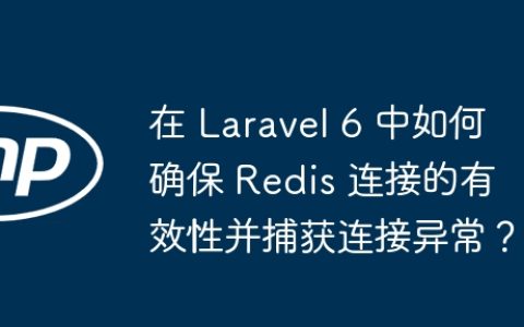 在 Laravel 6 中如何确保 Redis 连接的有效性并捕获连接异常？